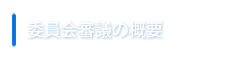 委員会審議の概要